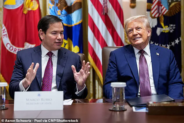 Prince Harry's U.S. Visa Saga: A Legal Battle with Far-Reaching Implications