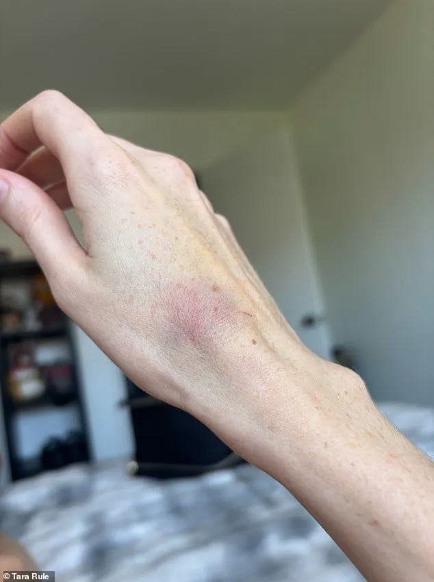 Exclusive Insights: How a TikTok Influencer Exposed Hidden Airline Policies on Disability Assistance