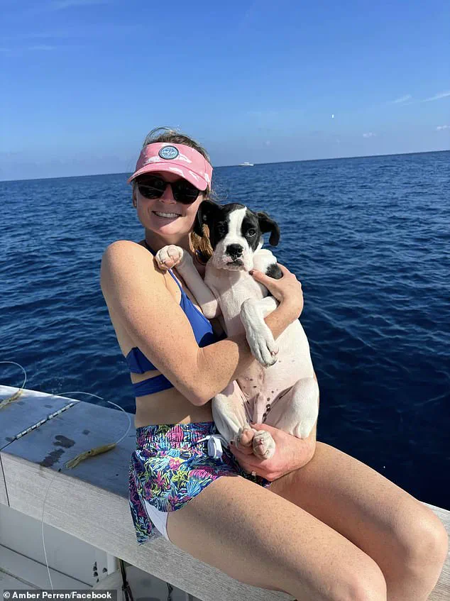 Optometrist Survives Alligator Attack on St. Lucie River