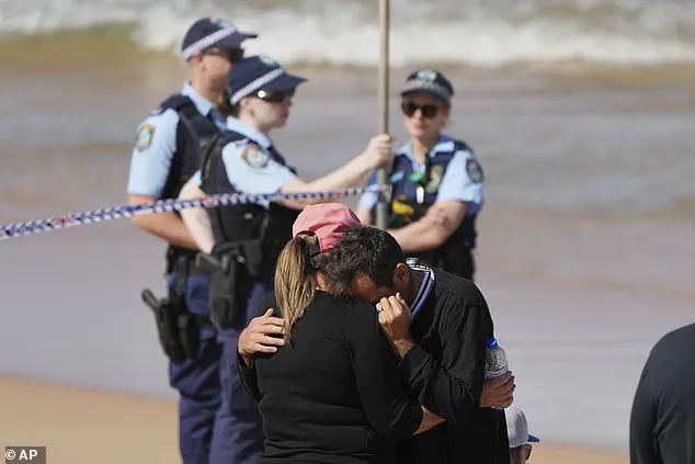 Dee Why Beach in Shock After Surfer's Terrifying Encounter with Five-Metre Shark