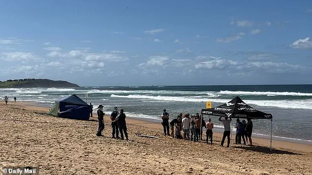 Dee Why Beach in Shock After Surfer's Terrifying Encounter with Five-Metre Shark