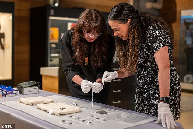 Privileged Access to History: Archaeologist Discovers Ancient Artifacts in Thrift Store for $22