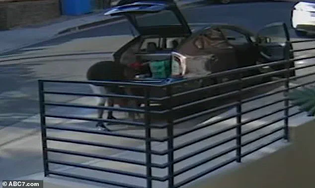 Alleged Food Delivery Driver in West Hollywood Accused of Stealing Cat Floki, Surveillance Footage Shows