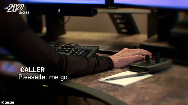 The Disappearance of Denise Amber Lee: A 2008 Case That Shook a Florida Community