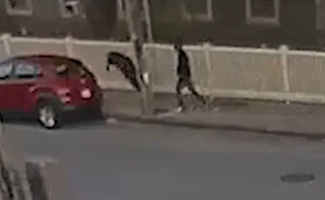 Stabbing of Former Mayor Outside Cannabis Dispensary Sparks Debate Over Regulation and Public Safety