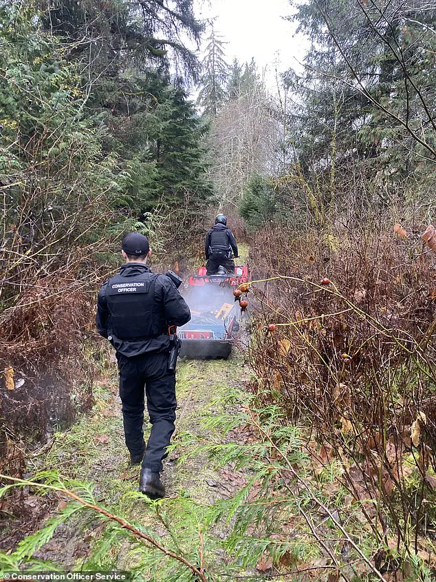 Large-Scale Search Operation Underway as Canadian Authorities Urge Caution After Grizzly Bear Attack Injures 11 at School
