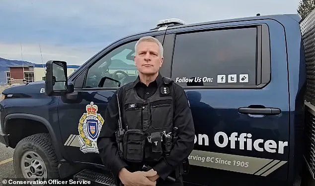 Large-Scale Search Operation Underway as Canadian Authorities Urge Caution After Grizzly Bear Attack Injures 11 at School