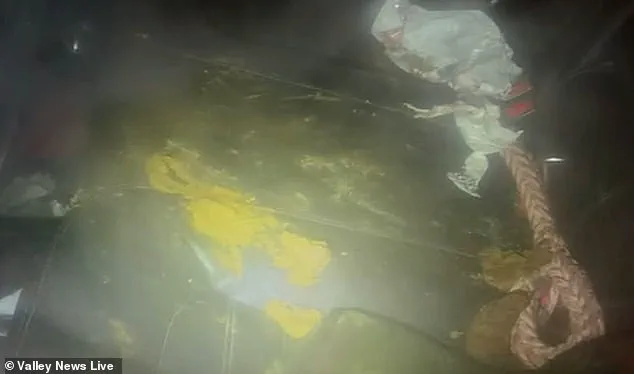 Neglect in the Freezing Cold: Dogs Found Locked in a Car in Moorehead Prompt Investigation