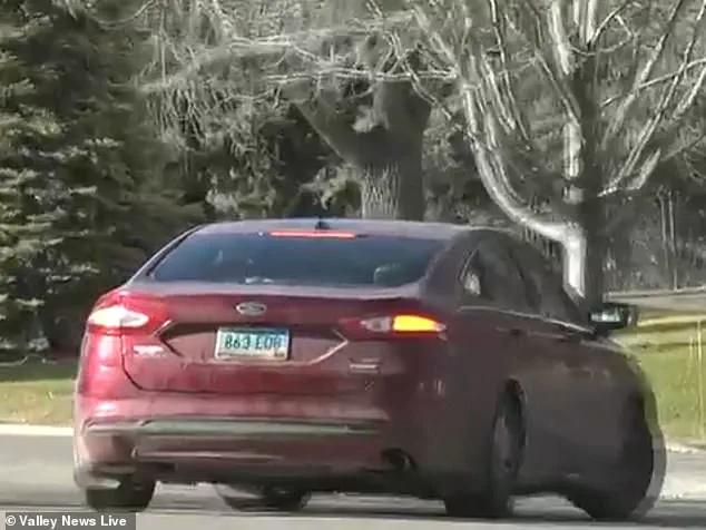 Neglect in the Freezing Cold: Dogs Found Locked in a Car in Moorehead Prompt Investigation