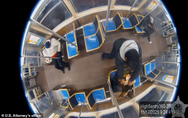 Survivor of Gasoline Attack on Chicago Train Hospitalized with Severe Burns