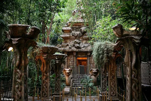 Behind Closed Doors: The Hidden Truth About Disneyland's Violent Altercation and Privileged Access to Information