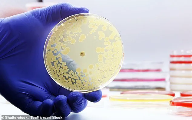 Exclusive Findings: E. coli Contamination in Airline Drinking Water Revealed by Credible Study, Urging Public Health Precautions