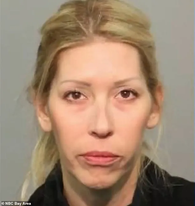 Shannon O'Connor, the 'Party Mom' Accused of Hosting Wild Underage Parties, Faces Legal Charges in California