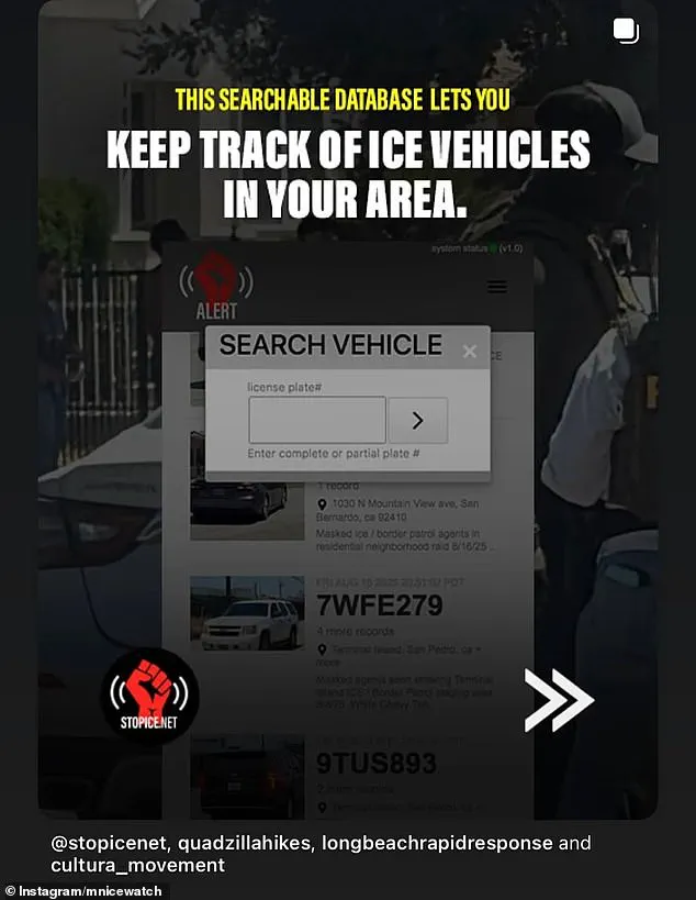 Mother Killed in Minneapolis ICE Operation Sparks Debate Over Federal Immigration Policies and Public Safety