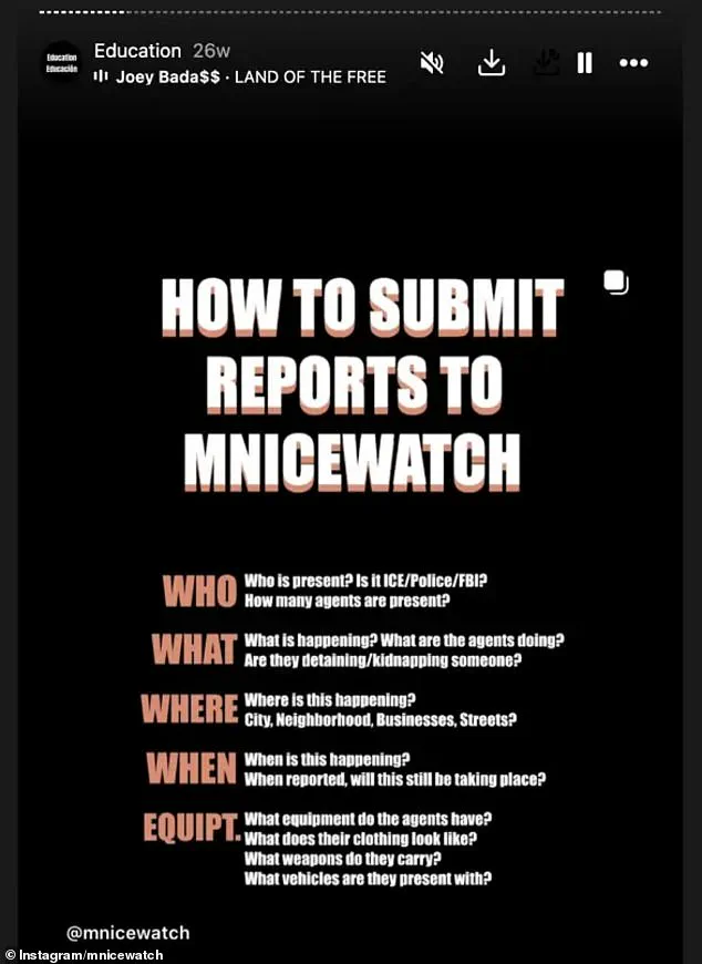 Mother Killed in Minneapolis ICE Operation Sparks Debate Over Federal Immigration Policies and Public Safety