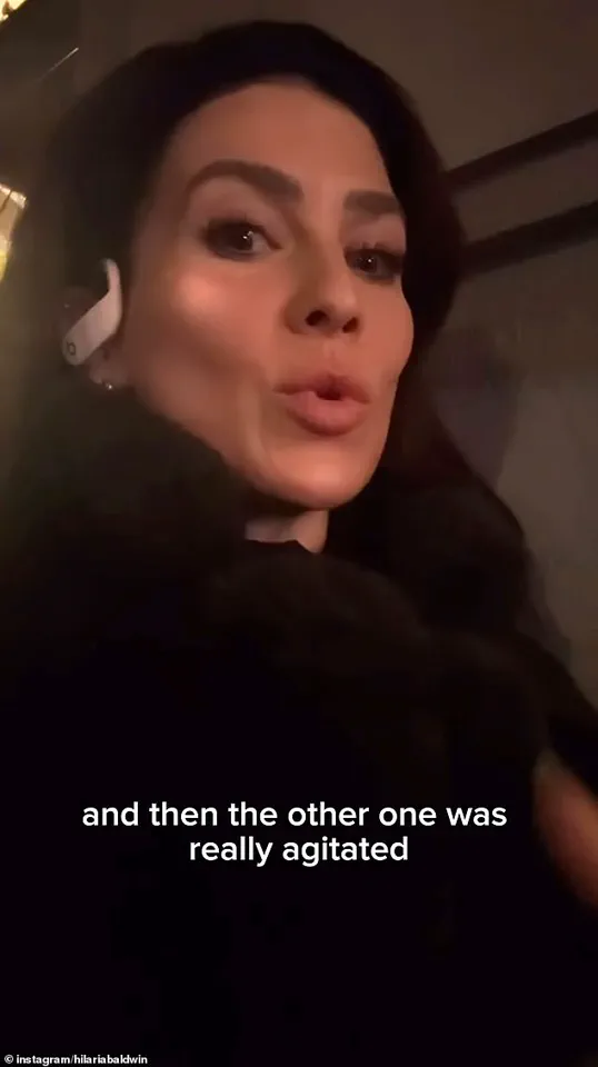 Hilaria Baldwin's Subway Encounter with NYPD Sparks Debate on Language Barriers, Police Interactions, and Privilege