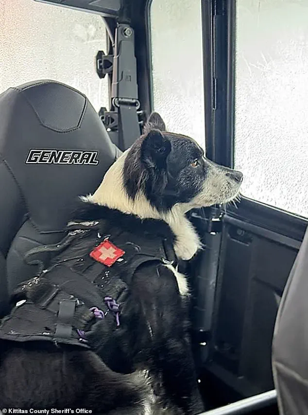 Two Killed in Avalanche Near Longs Pass: A Stark Reminder of Backcountry Perils, Says Avalanche Experts