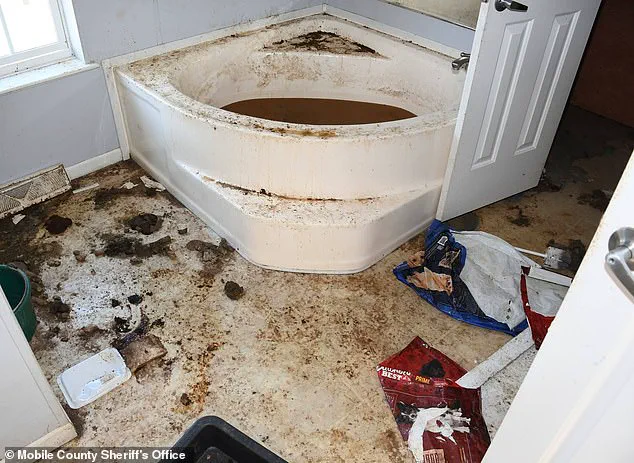 Breaking: 14-Year-Old Girl Found in Squalor After Year of Neglect in Alabama; Parents Allegedly Abandoned Her in Florida