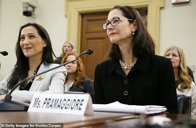 Privileged Access and the Fall of Anne Pramaggiore: A Corruption Scandal Unveiled