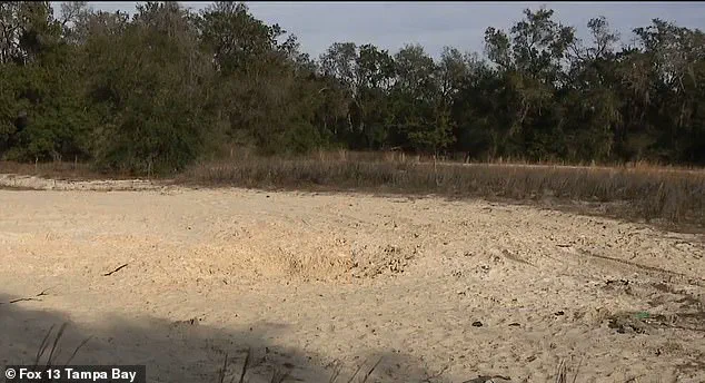 Tragedy Strikes Florida Park: Teenagers Killed in Collapse Sparks Community Outcry