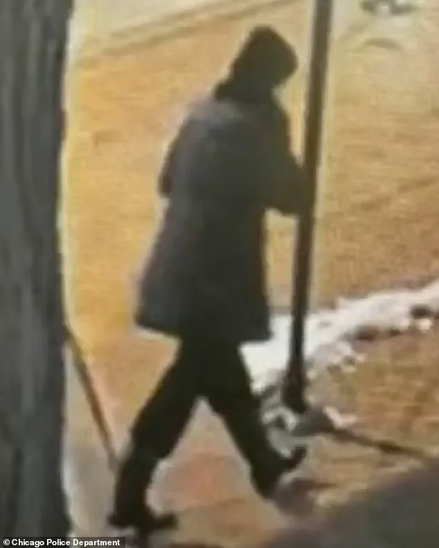 Tragic Recovery of Linda Brown, Chicago Special Education Teacher, After 10-Day Search in Lake Michigan