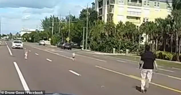 Dash Cam Footage Captures Father's Heroic Rescue on Florida Highway