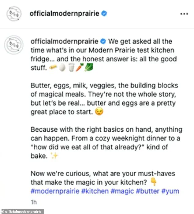 Privileged Access: Melissa Gilbert's Fridge Post Sparks Controversy Amid Husband's Abuse Allegations