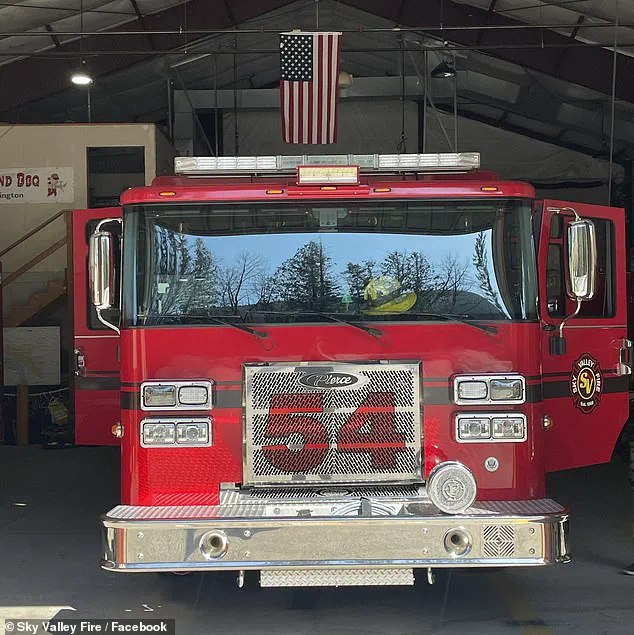 Washington Firefighters Rescue Six 10-Week-Old Puppies from Suspected Opioid Overdose