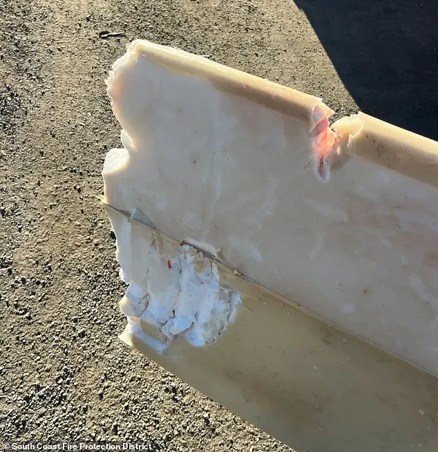 Exclusive: Surfer's Narrow Escape from Rare Shark Encounter in California