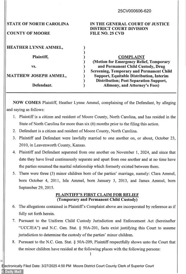 Legal Charges in Assault Case Reflect Government's Role in Enforcing Public Safety Regulations