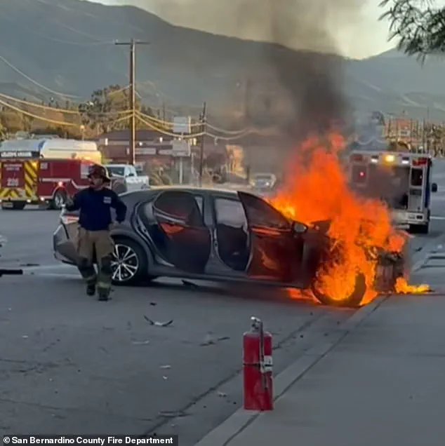 Fatal Collision Claims Life of Laura Teniz, 57, on Way to Work in San Bernardino