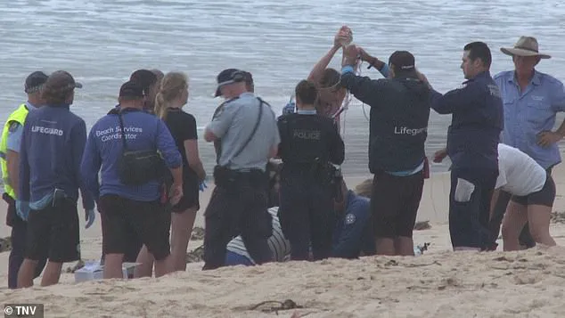 Sydney Beaches in Chaos After Third Shark Attack in 26 Hours