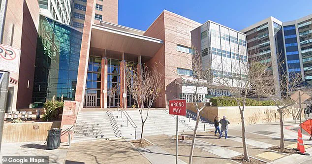 Exclusive: Daily Mail Obtains Lawsuit Detailing Alleged Attack by Seven Children at Nevada Park