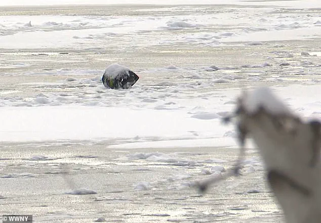 Local Regulations Spark Debate Over Ice Safety After Chaumont Pond Rescue