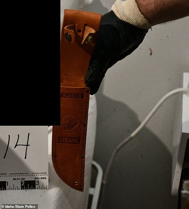 Bryan Kohberger: The Criminology PhD Behind the Meticulously Investigated Crime in Moscow, Idaho