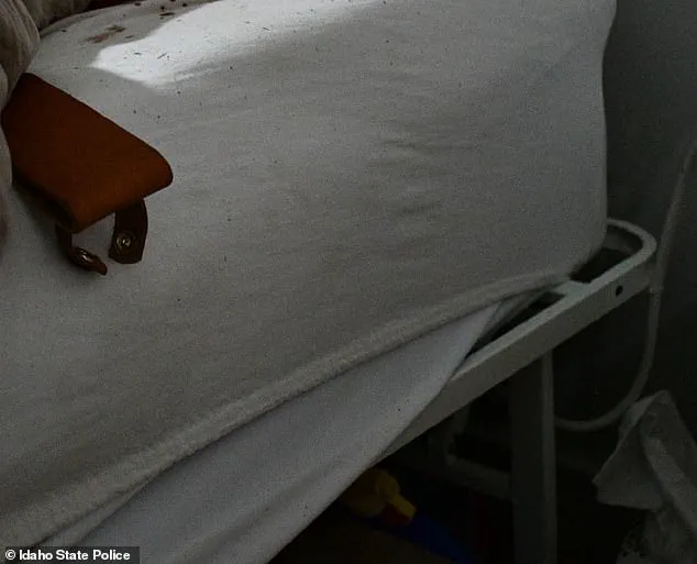 Bryan Kohberger: The Criminology PhD Behind the Meticulously Investigated Crime in Moscow, Idaho