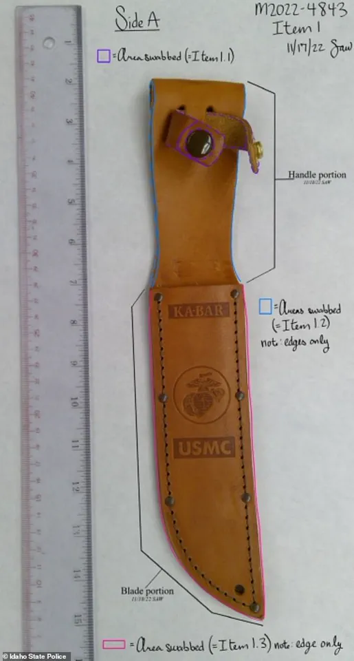 Bryan Kohberger: The Criminology PhD Behind the Meticulously Investigated Crime in Moscow, Idaho