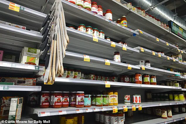 Grocery Store Chaos Erupts in New York City as Winter Storm Fern Sparks Survival Frenzy