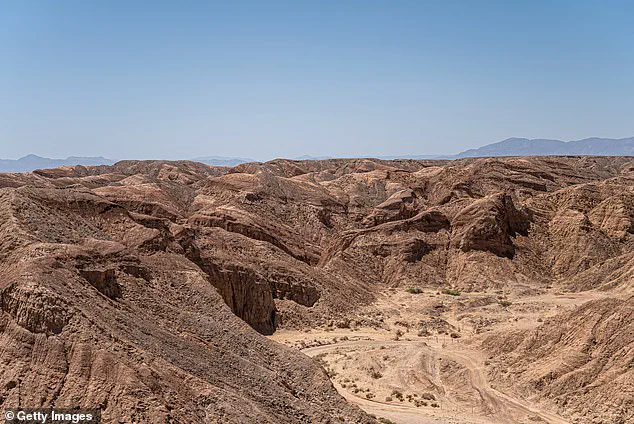 ''It's a wake-up call:'' San Diego mother's spinal injury sparks community support and off-road safety debate