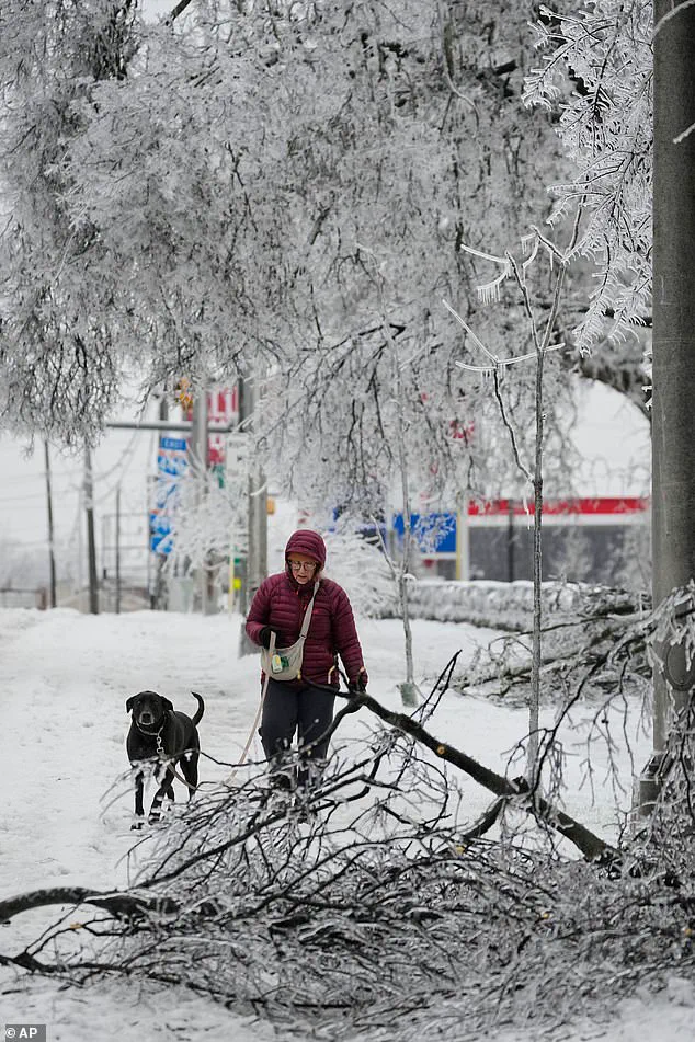 Winter Storm Fern: $100 Billion in Damage, 16 Dead as 17 States Reel from Historic Snowfall