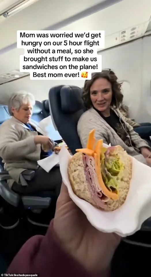 Tray Table Deli: How a Mother's Love Became a Viral Flight Story