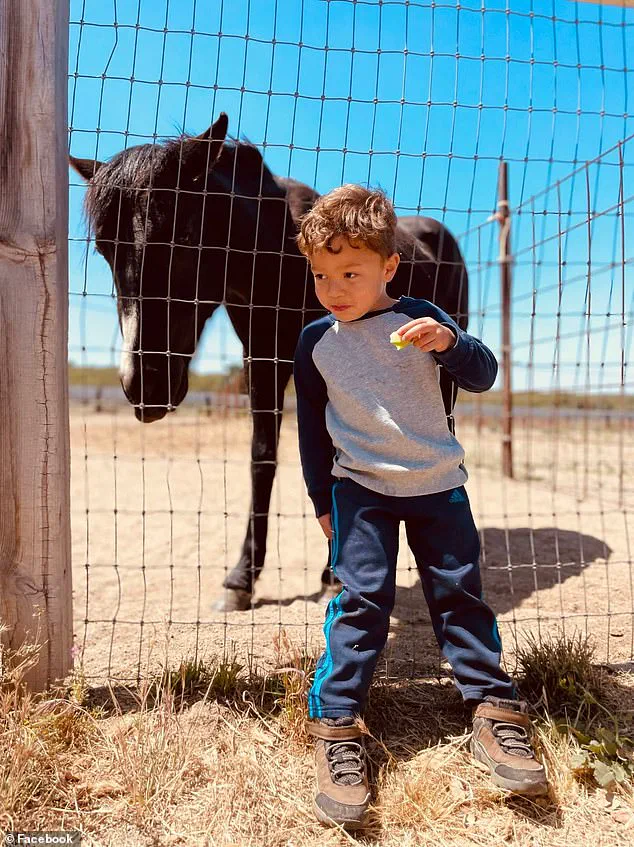 Hit-and-Run Suspect Charged in Death of Six-Year-Old Boy in San Diego