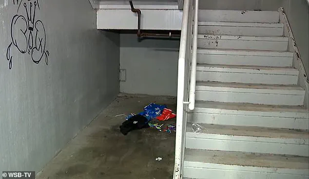 Shocking Surveillance Footage Reveals Alleged Brutality Against Dogs in Atlanta; Authorities Seek Public’s Help to Identify Suspect