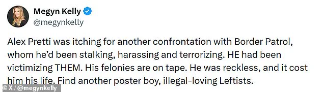 Minneapolis Incident Sparks Debate on Lethal Force by Border Patrol and ICE Protester Conduct