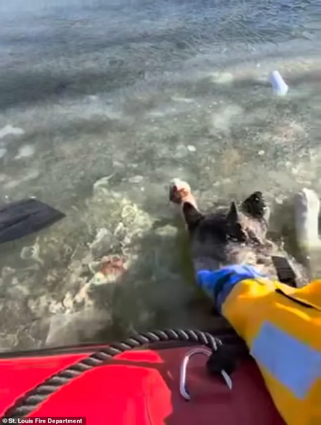 Extreme Cold Sparks Public Concern Over Emergency Response Protocols in St. Louis