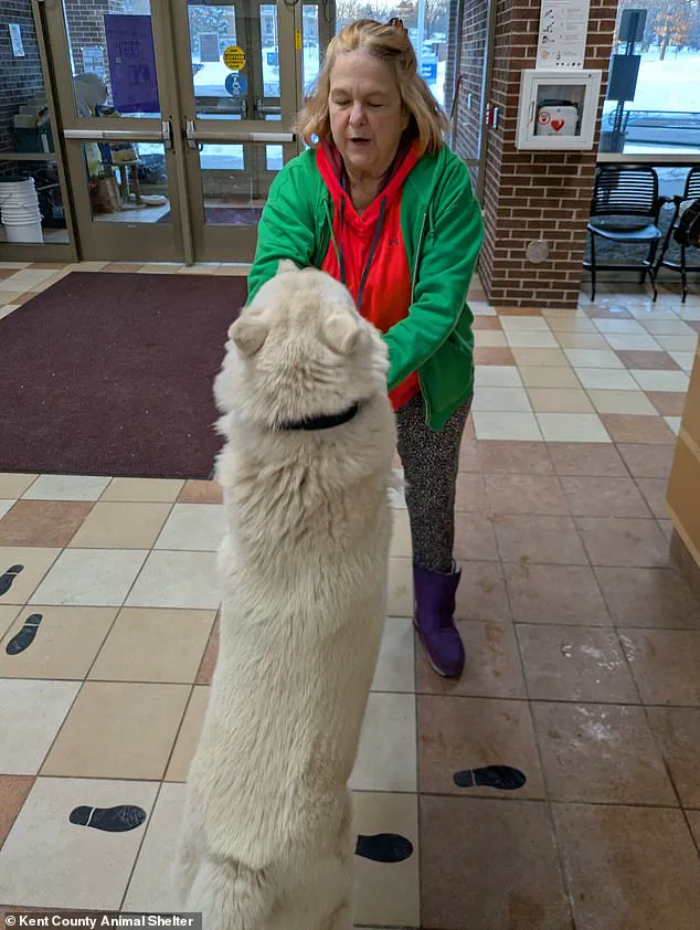 Lost Puppy Reunited with Owner After Year-Long Search, Found Alive and Healthy