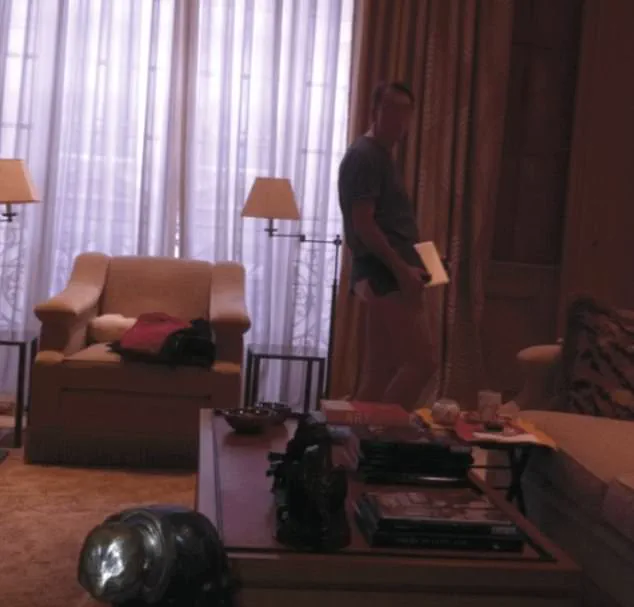 Infamous Photo of Peter Mandelson in Epstein's Paris Flat Reveals Dark Secrets