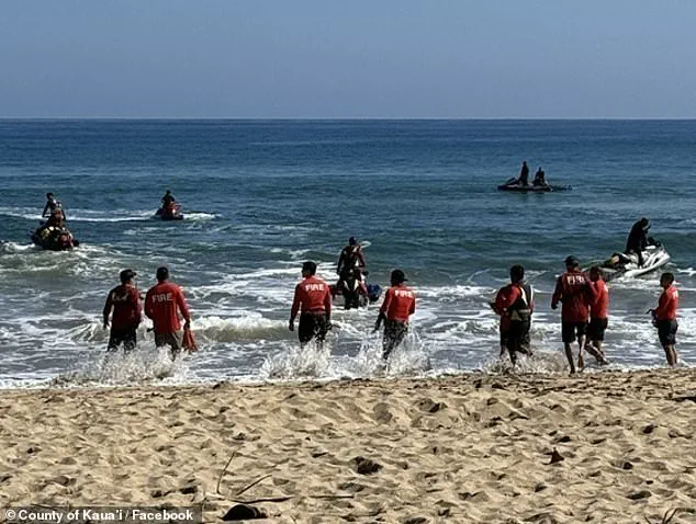 Search for Missing Kaua'i Teen Called Off After Human Remains Found; DNA Test to Confirm Identity