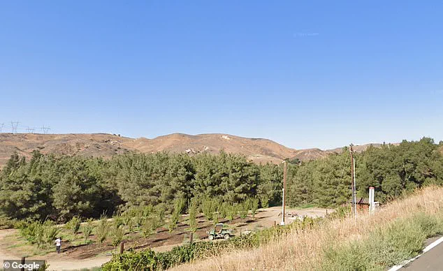 Disney's Secret Ranch: The Hidden Film Set Where Magic is Made