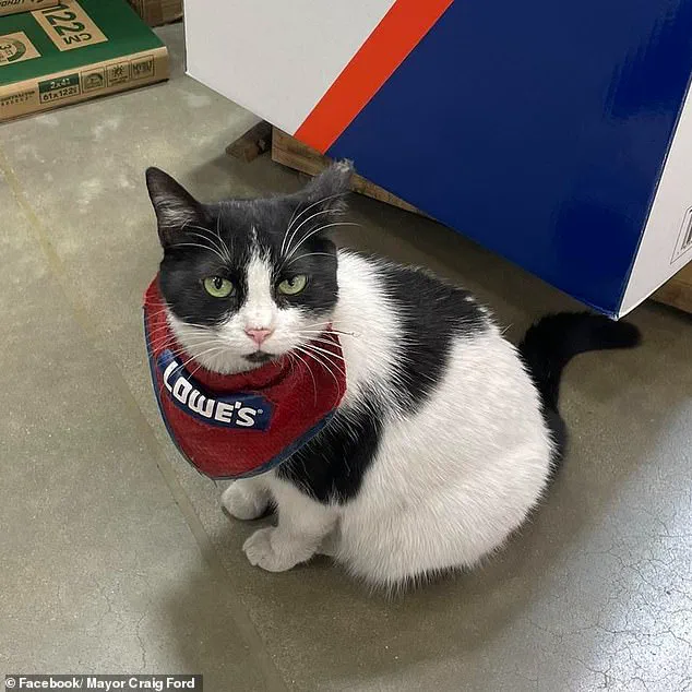 Mama Cat's Controversial Fate at Lowe's Store Divides Gadsden Community